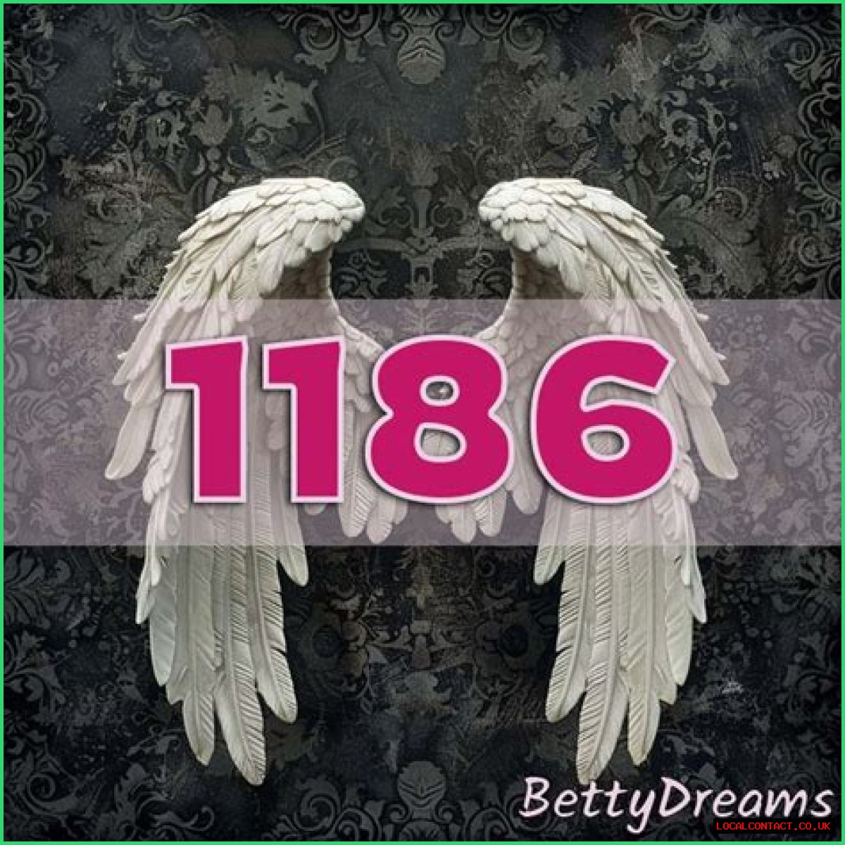 
ANGEL NUMBER 1186

