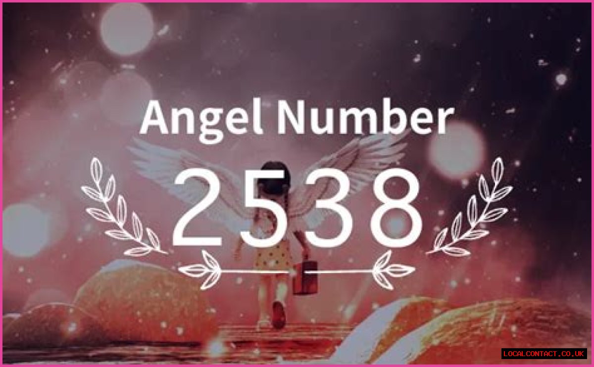 
ANGEL NUMBER 2538
