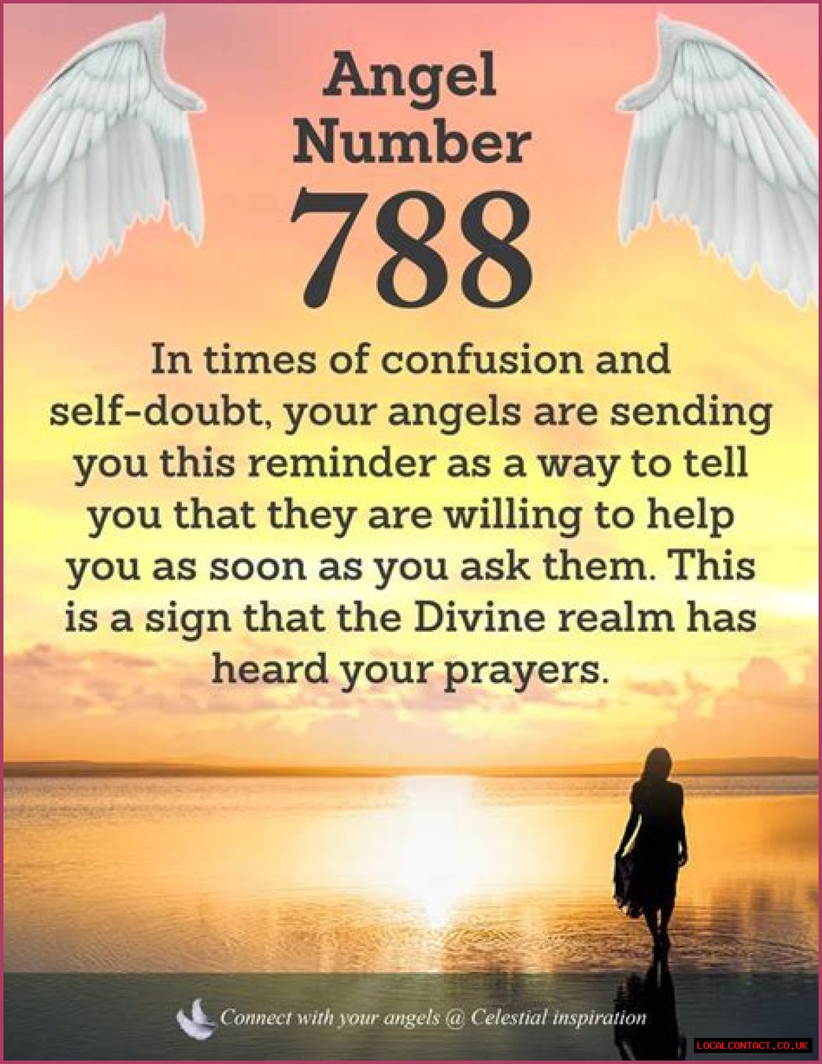 
ANGEL NUMBER 788
