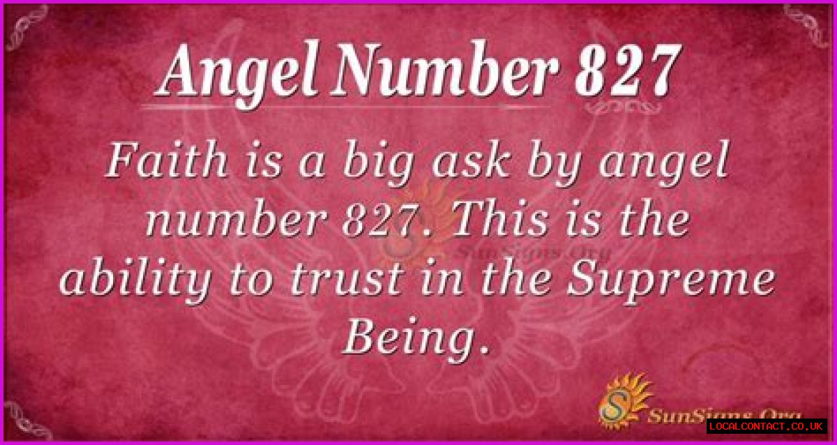 
ANGEL NUMBER 827
