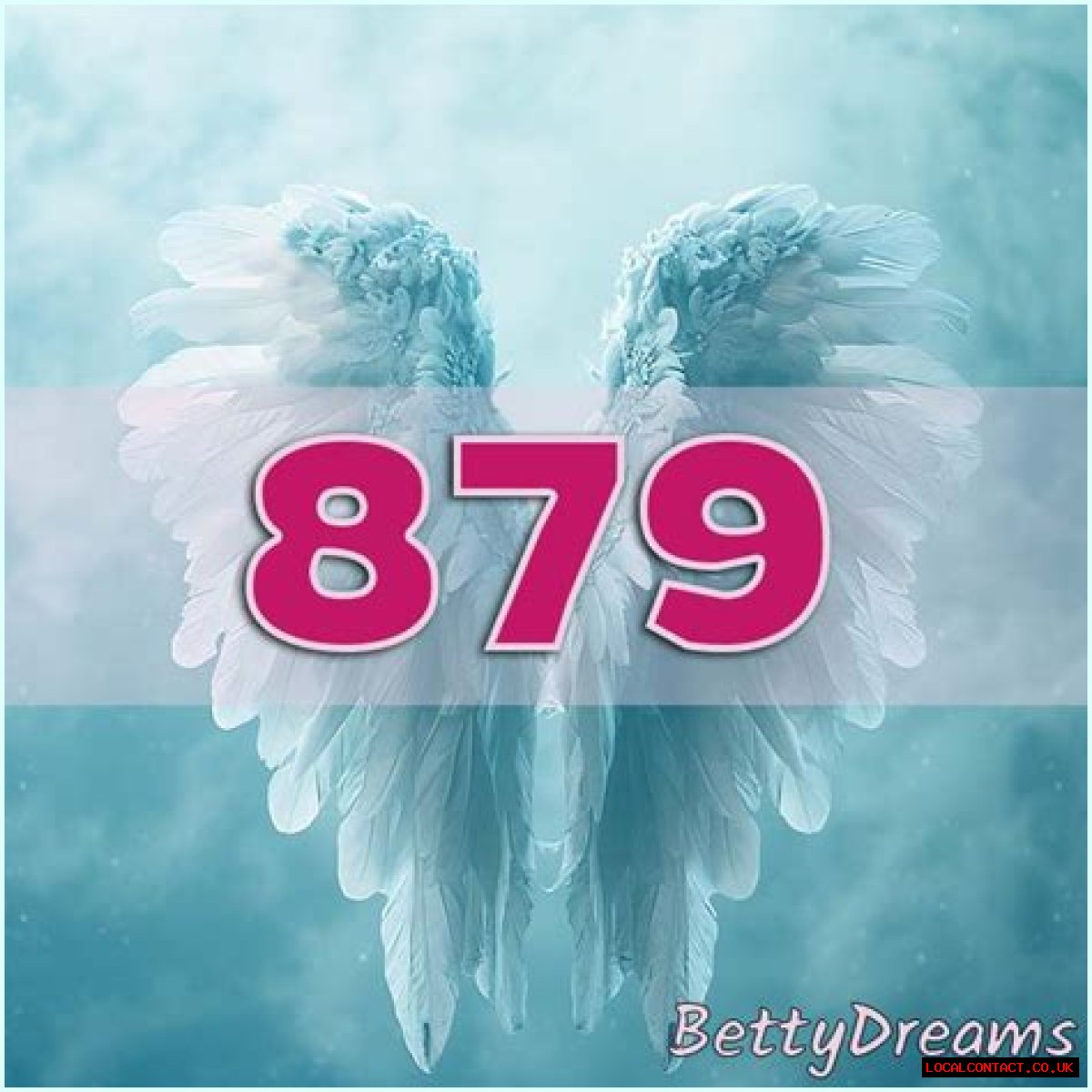
ANGEL NUMBER 879
