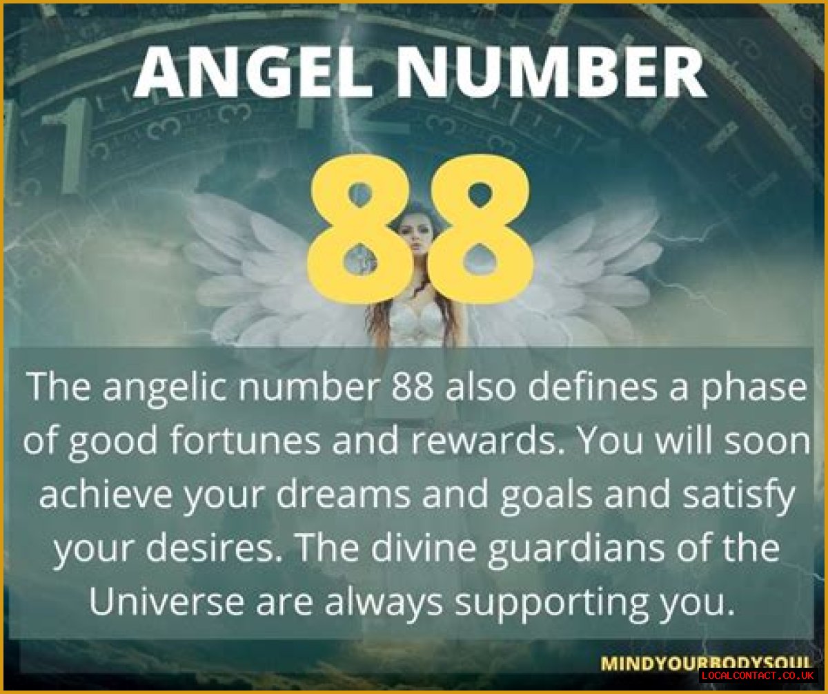 
ANGEL NUMBER 88
