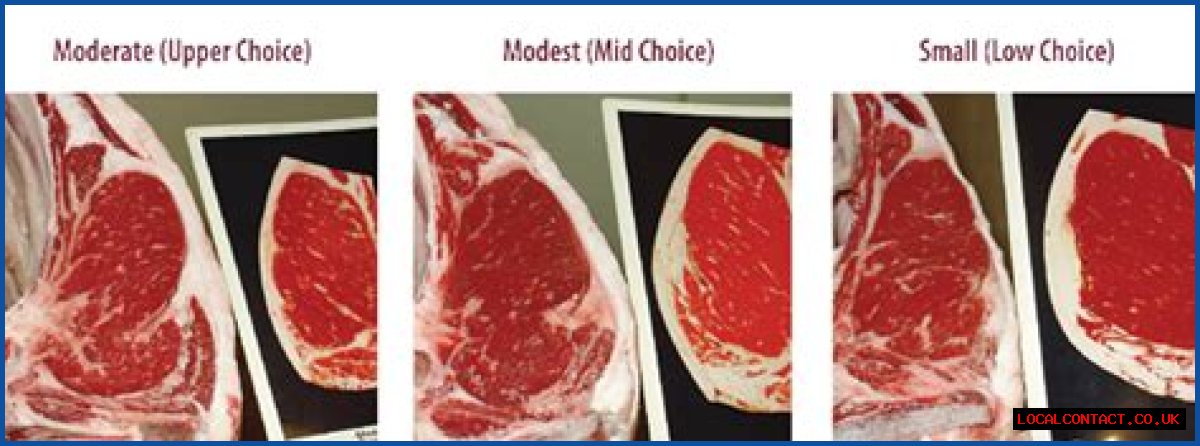 Beef Grades and Carcass Information