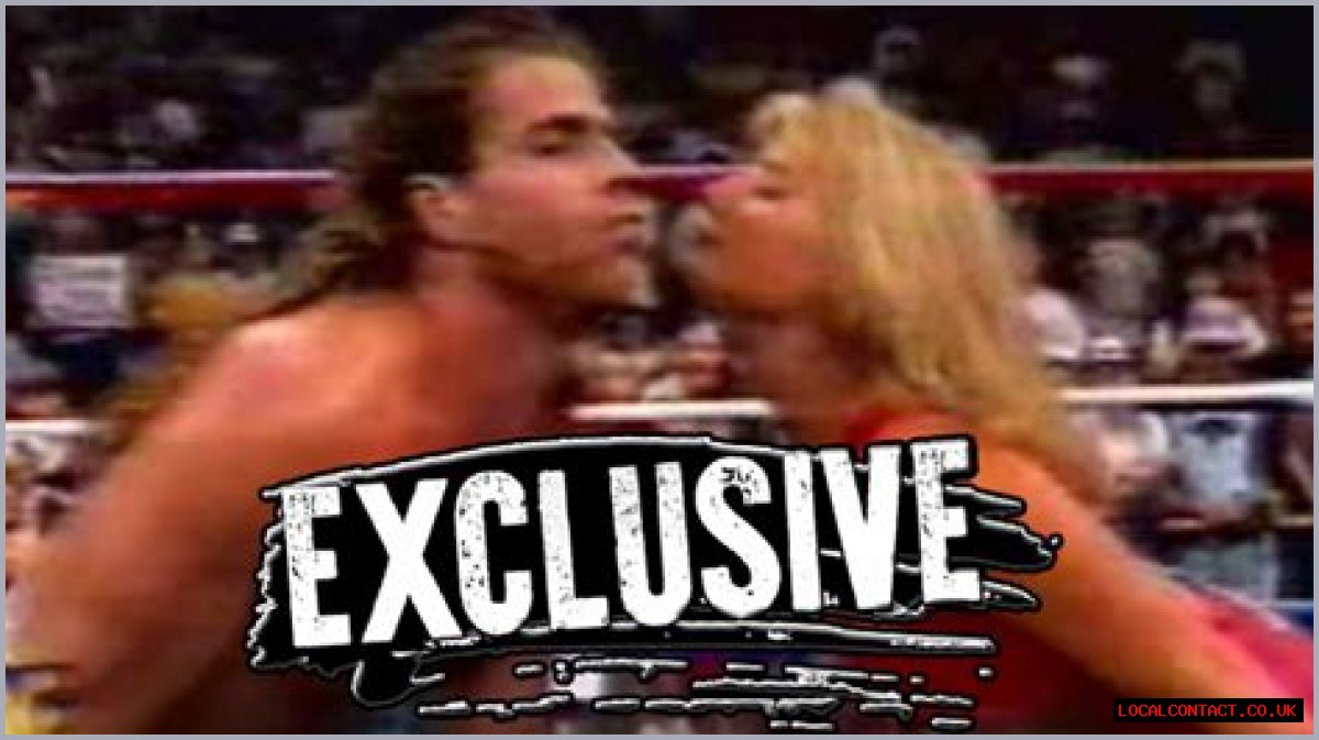 Ex-WWE Diva Sunny Details Alleged Sexual Affair With HBK