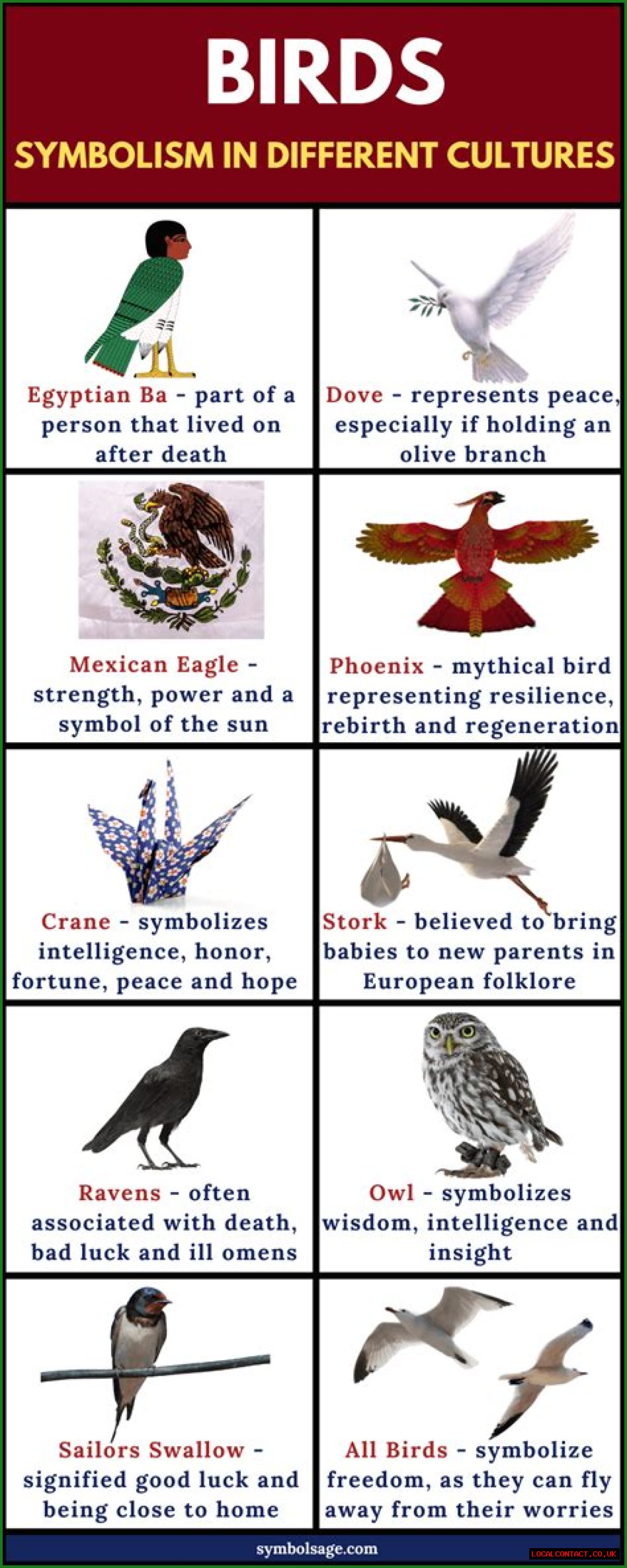 Exploring The Depths Of Bird Symbolism: A Journey Through Culture And Meaning