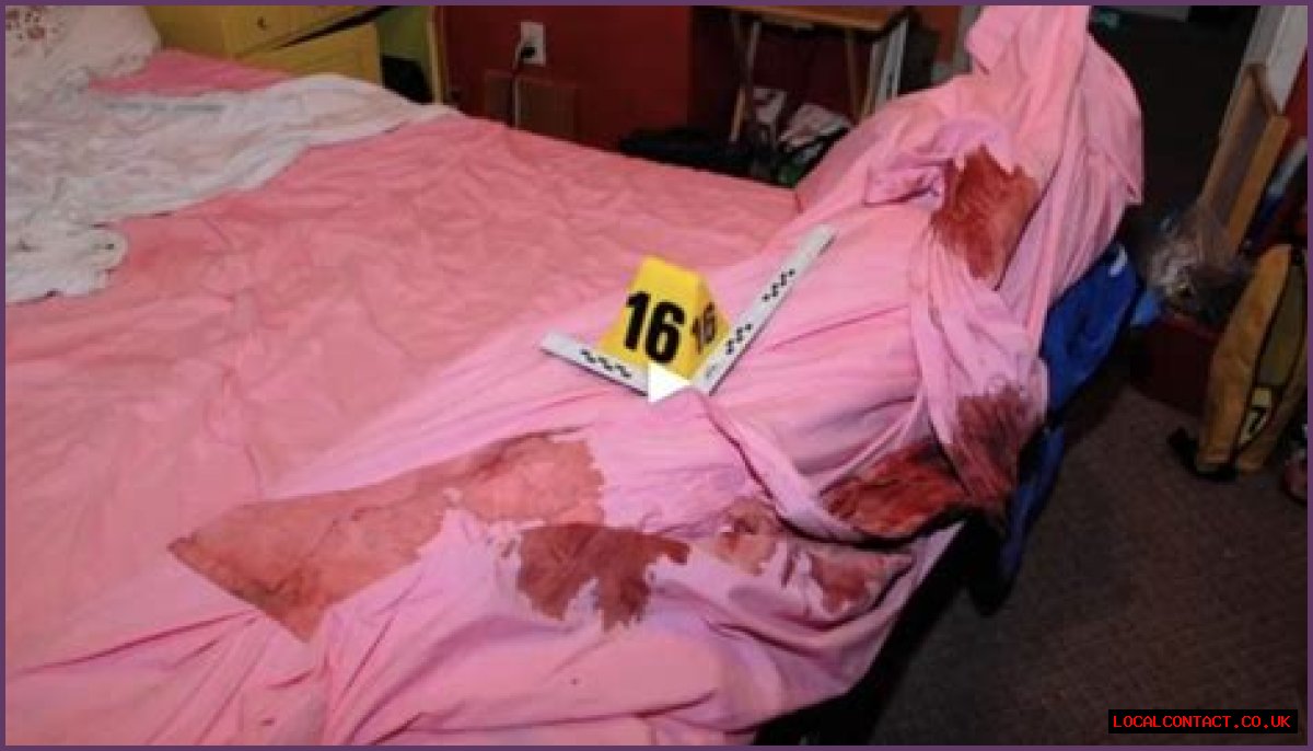 Gypsy Rose Mom Crime Scene Photos: Unraveling The Controversial Case