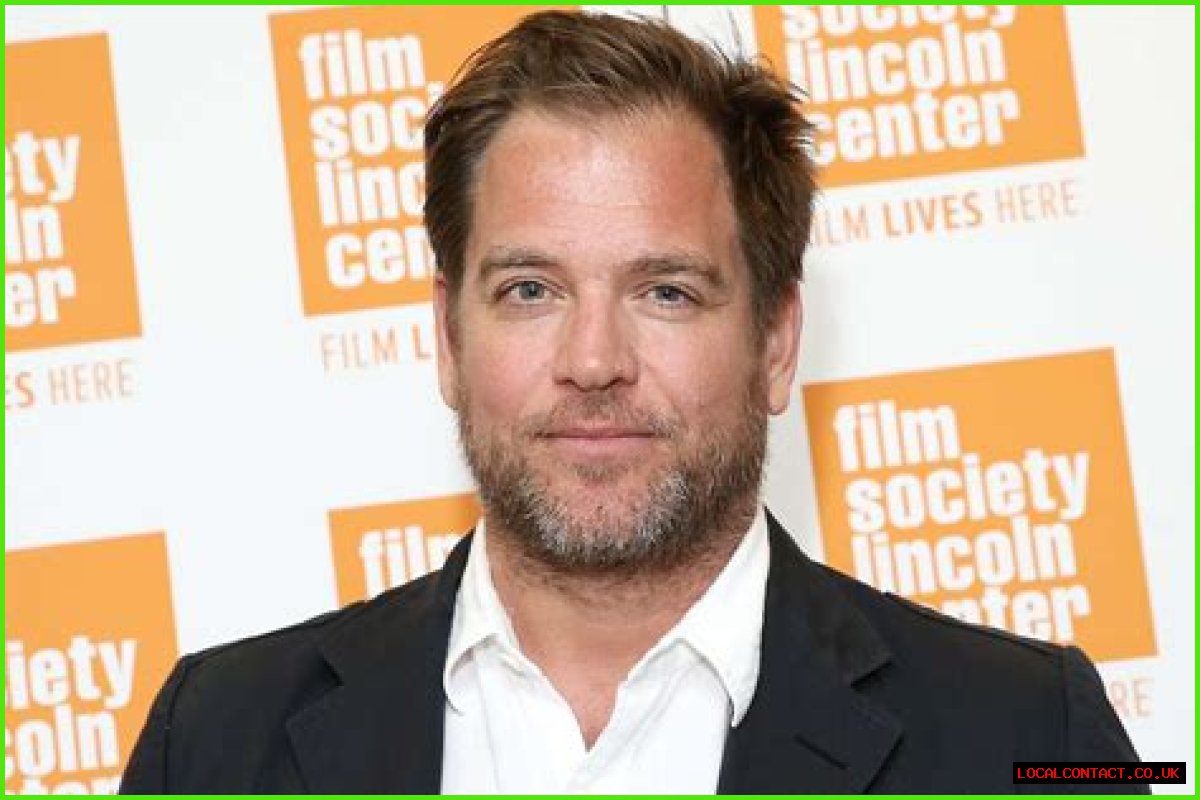 How Much Is Michael Weatherly Worth? An In-Depth Look At His Career And Wealth