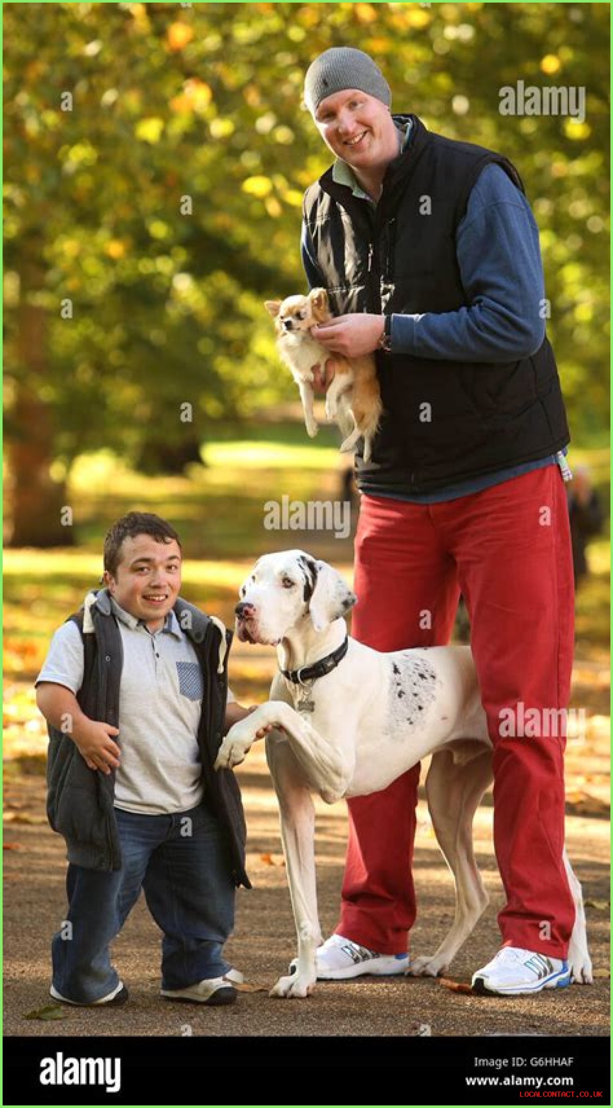 Neil: Tallest to Shortest