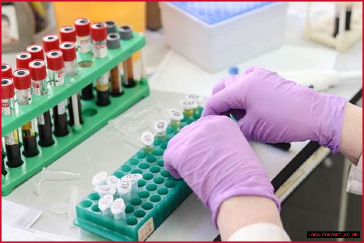 Phlebotomy Training Red Cross San Diego CA