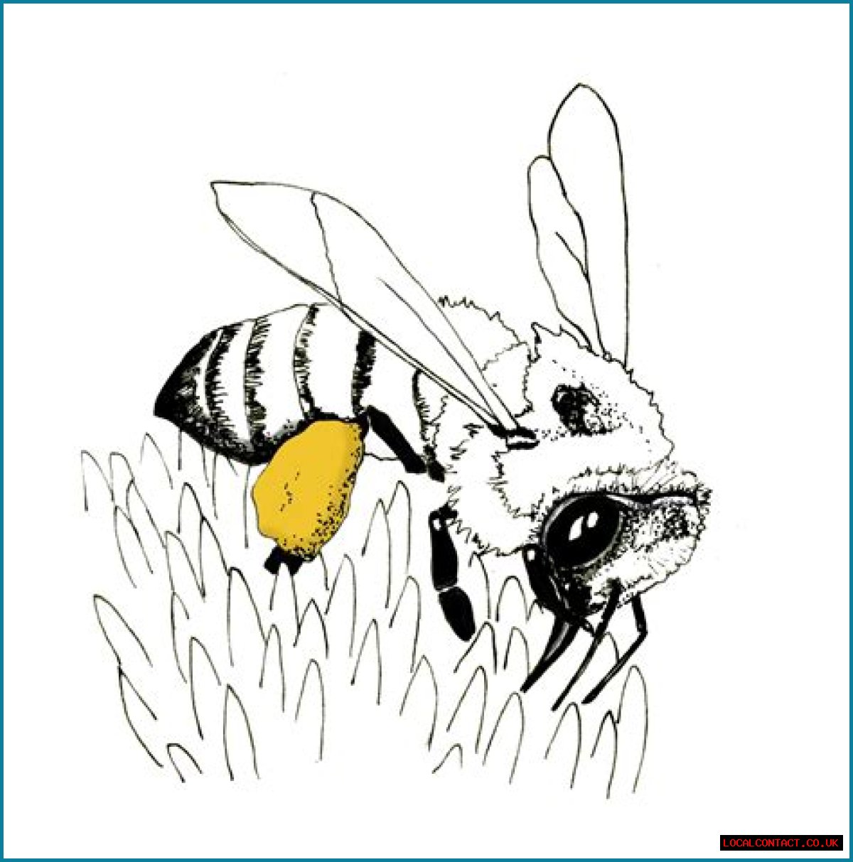 Protecting Pollination by Honey Bees in Mississippi