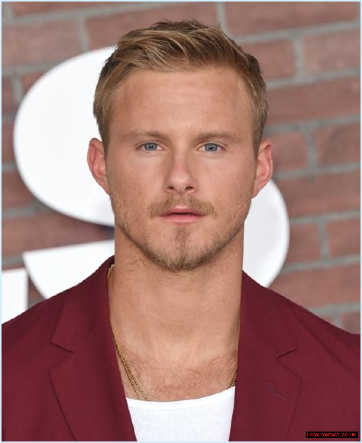 Top 10 Blonde Male Actors Who Captivated Hollywood