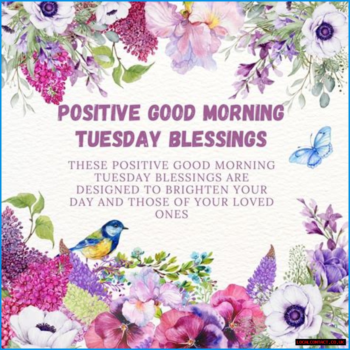 Tuesday Blessings Images: A Source Of Inspiration And Positivity