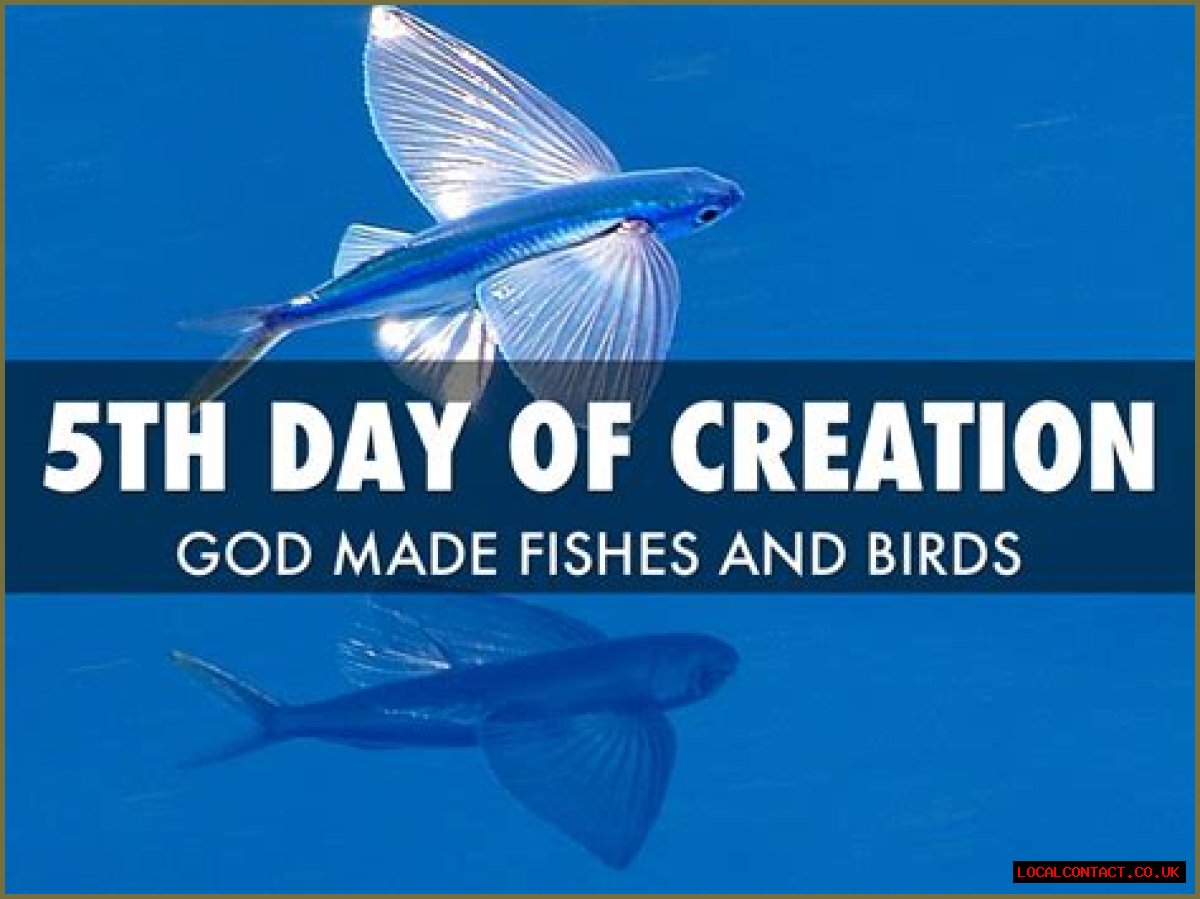 What did God create on the fifth day of creation?