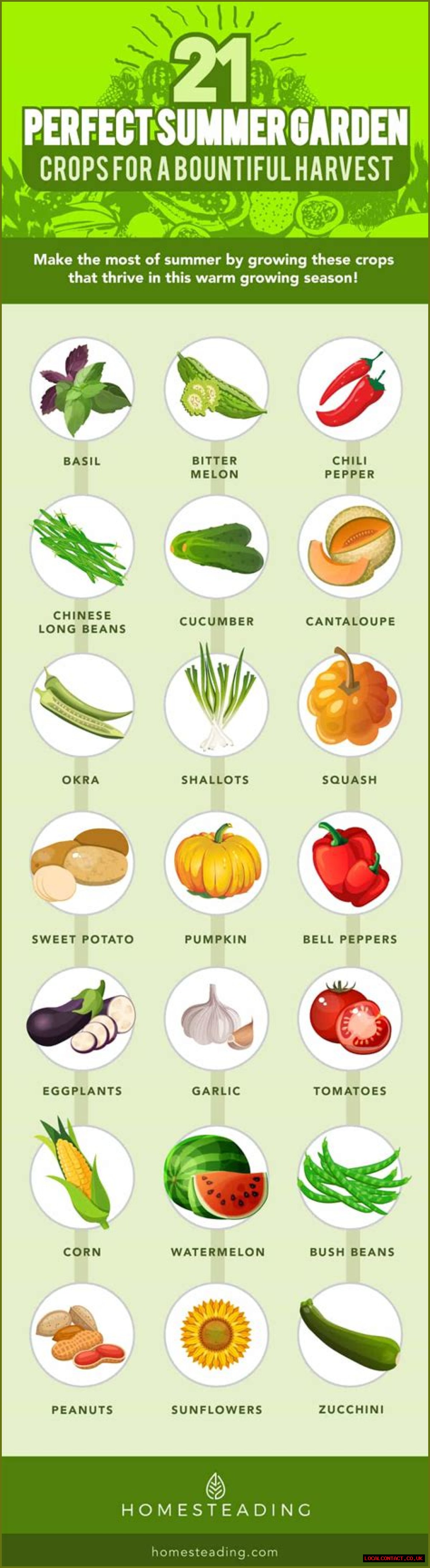 Which crops are grown in summer season?